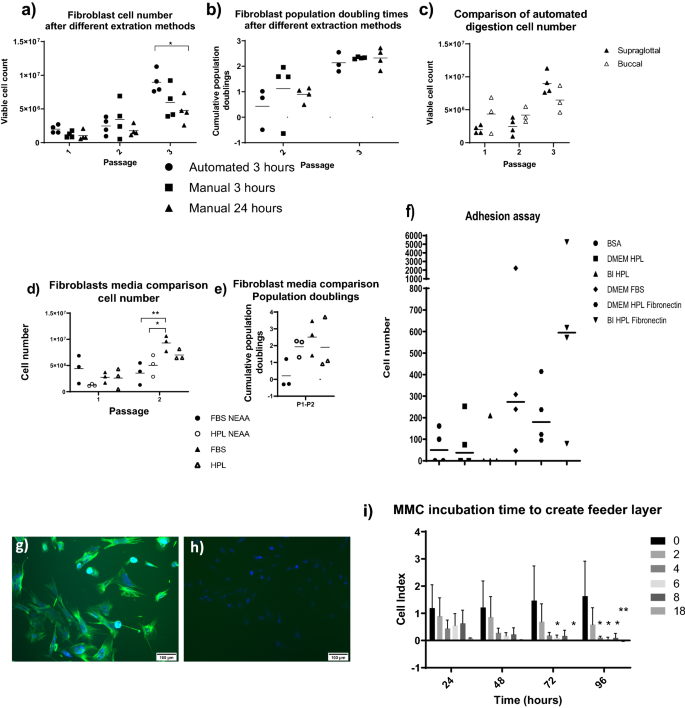 GMP compliant isolation of mucosal epithelial cells and fibroblasts from  biopsy samples for clinical tissue engineering | Scientific Reports