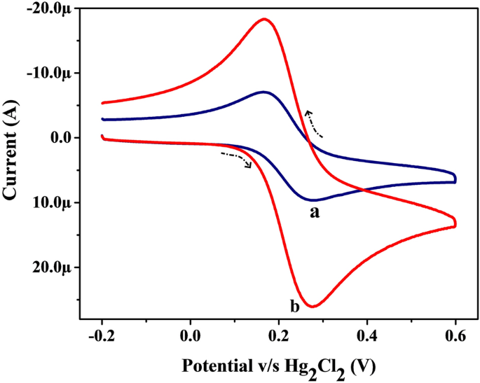 Electro Oxidation Of Formoterol Fumarate On The Surface Of Novel Poly Thiazole Yellow G Layered Multi Walled Carbon Nanotube Paste Electrode Scientific Reports