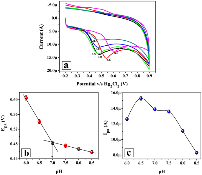 Electro Oxidation Of Formoterol Fumarate On The Surface Of Novel Poly Thiazole Yellow G Layered Multi Walled Carbon Nanotube Paste Electrode Scientific Reports