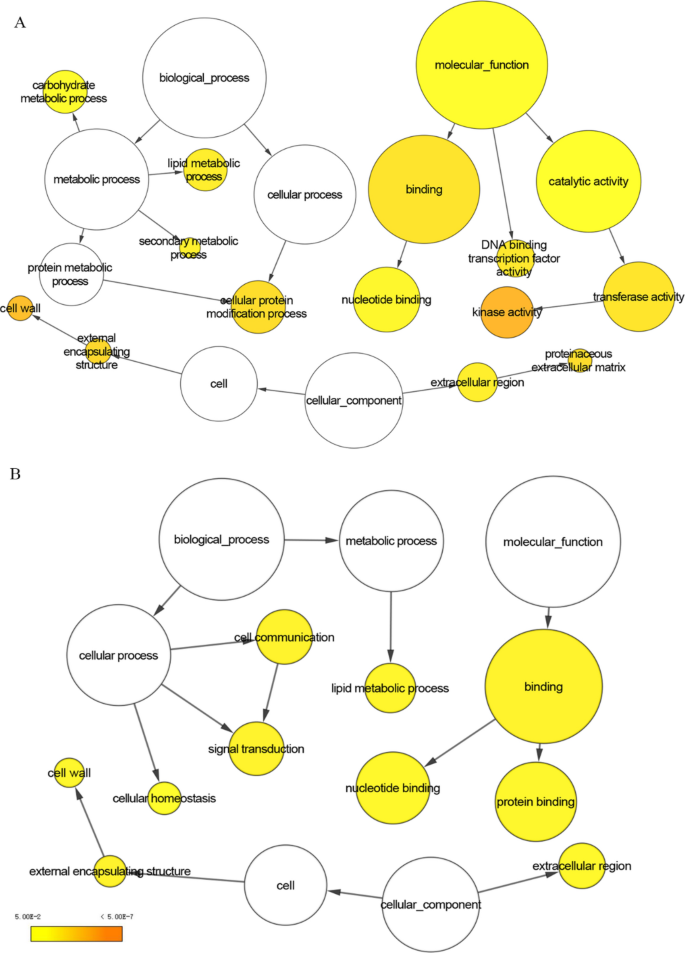 Là một nhà khoa học nghiên cứu, Transcriptome và Metabolome Profiling đã trở thành chủ đề hot trong thời gian gần đây. Hãy cùng xem hình ảnh liên quan đến nó để tìm hiểu thêm về những tiến bộ và ứng dụng của lĩnh vực này nhé!