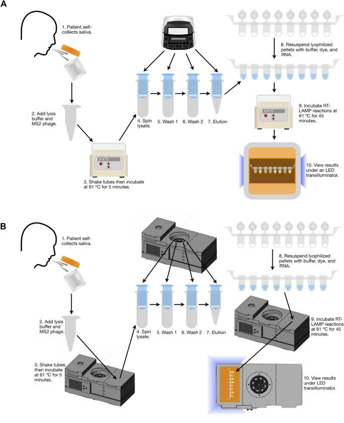 A rapid near-patient detection system for SARS-CoV-2 using saliva |  Scientific Reports