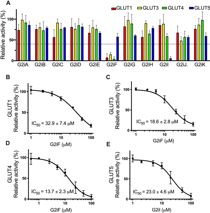 Identification Of New Glut2 Selective Inhibitors Through In Silico Ligand Screening And Validation In Eukaryotic Expression Systems Scientific Reports