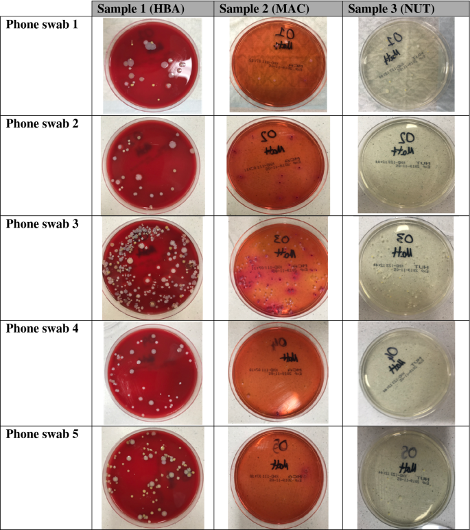 Agario - the official Agar in the mobile segment