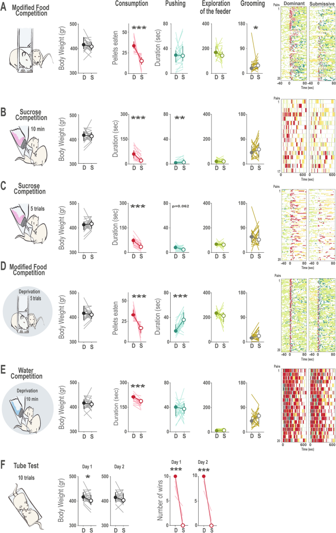 Novel competition test for food rewards reveals stable dominance 