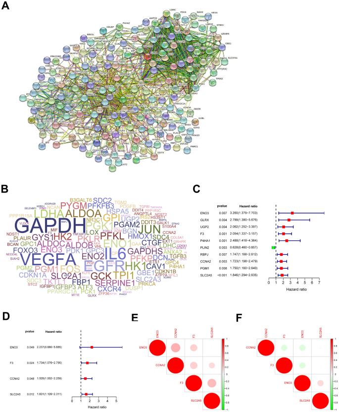 A Hypoxia Risk Signature For The Tumor Immune Microenvironment Evaluation And Prognosis Prediction In Acute Myeloid Leukemia Scientific Reports