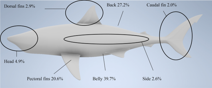 figure 18