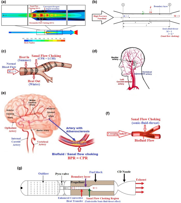 RETRACTED: Physical insights into the heat and mass transfer in