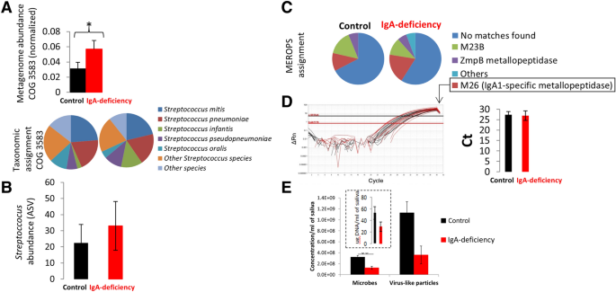 Microbial ecology perturbation in human IgA deficiency