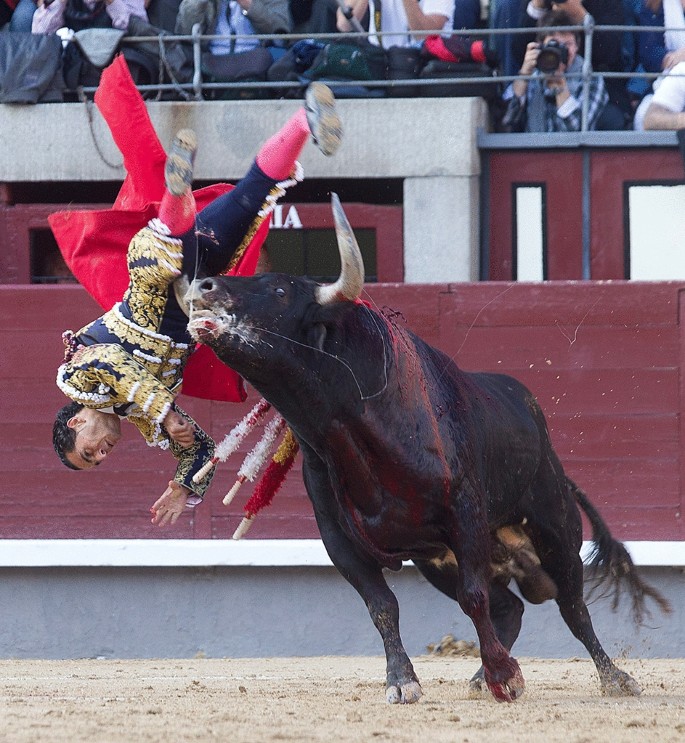 bullfighting accidents