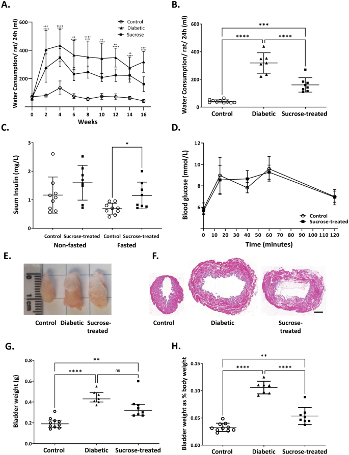 Experimental Long Term Diabetes Mellitus Alters The Transcriptome And Biomechanical Properties Of The Rat Urinary Bladder Scientific Reports Experimental Long Term Diabetes Mellitus Alters The Transcriptome And Biomechanical Properties Of The Rat Urinary Bladder Scientific Reports