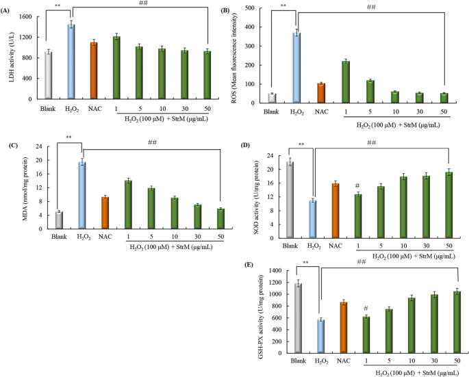 Pyomelanin Produced By Streptomyces Sp Zl 24 And Its Protective Effects Against Sh Sy5y Cells Injury Induced By Hydrogen Peroxide Scientific Reports