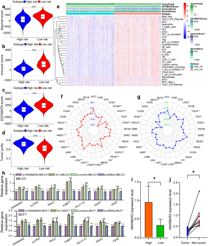 A Prospective Study Revealing The Role Of An Immune Related Erna Wakmar2 In Breast Cancer Scientific Reports A Prospective Study Revealing The Role Of An Immune Related Erna Wakmar2 In Breast Cancer Scientific Reports