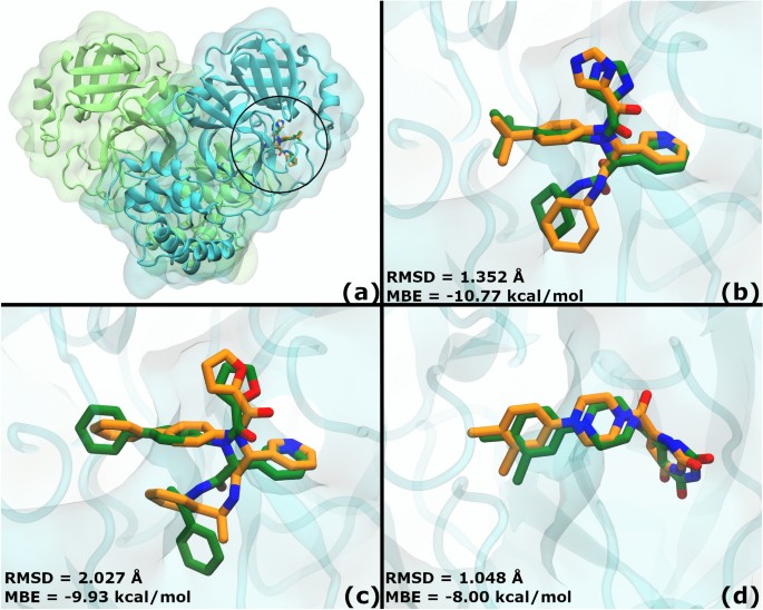 Comprehensive Virtual Screening Of 4 8 K Flavonoids Reveals Novel Insights Into Allosteric Inhibition Of Sars Cov 2 Mpro Scientific Reports