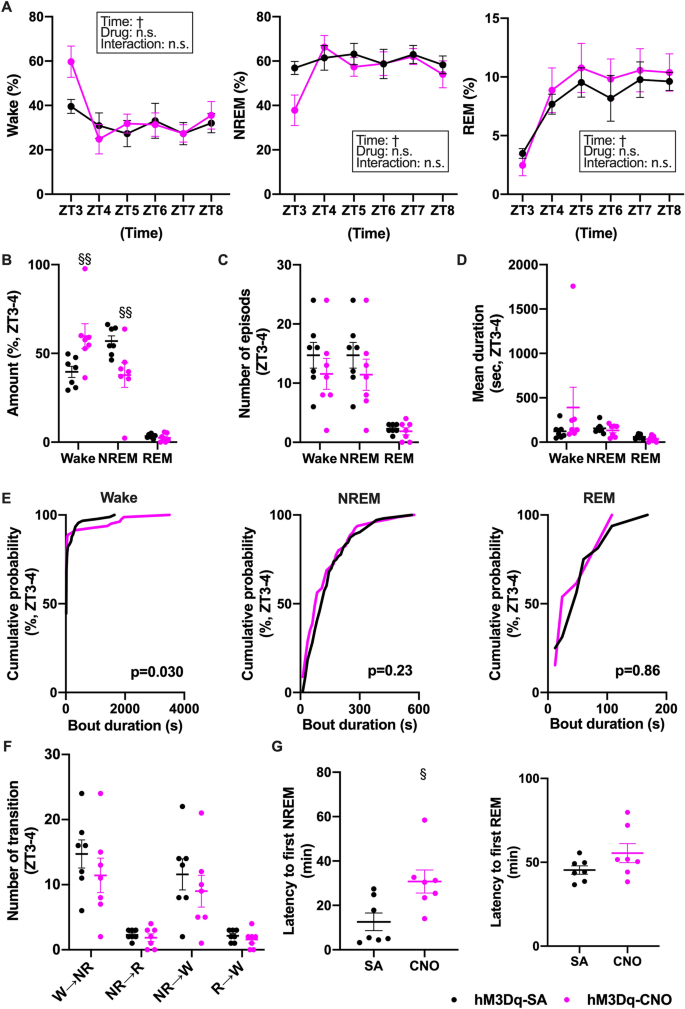 Central Histamine Boosts Perirhinal Cortex Activity and Restores