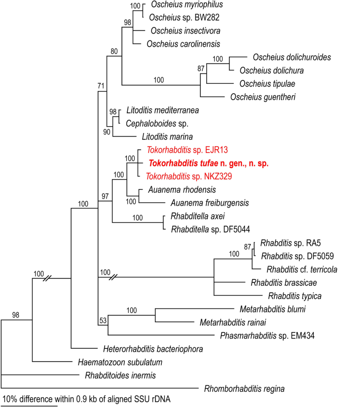 figure 9