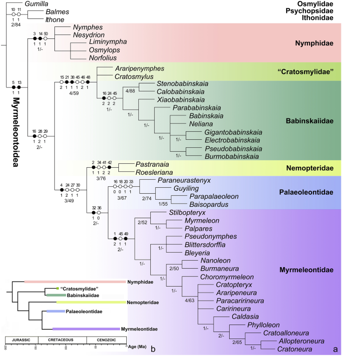 Phylogeny of Higher Taxa in Insecta: Finding Synapomorphies in the Extant  Fauna and Separating Them from Homoplasies