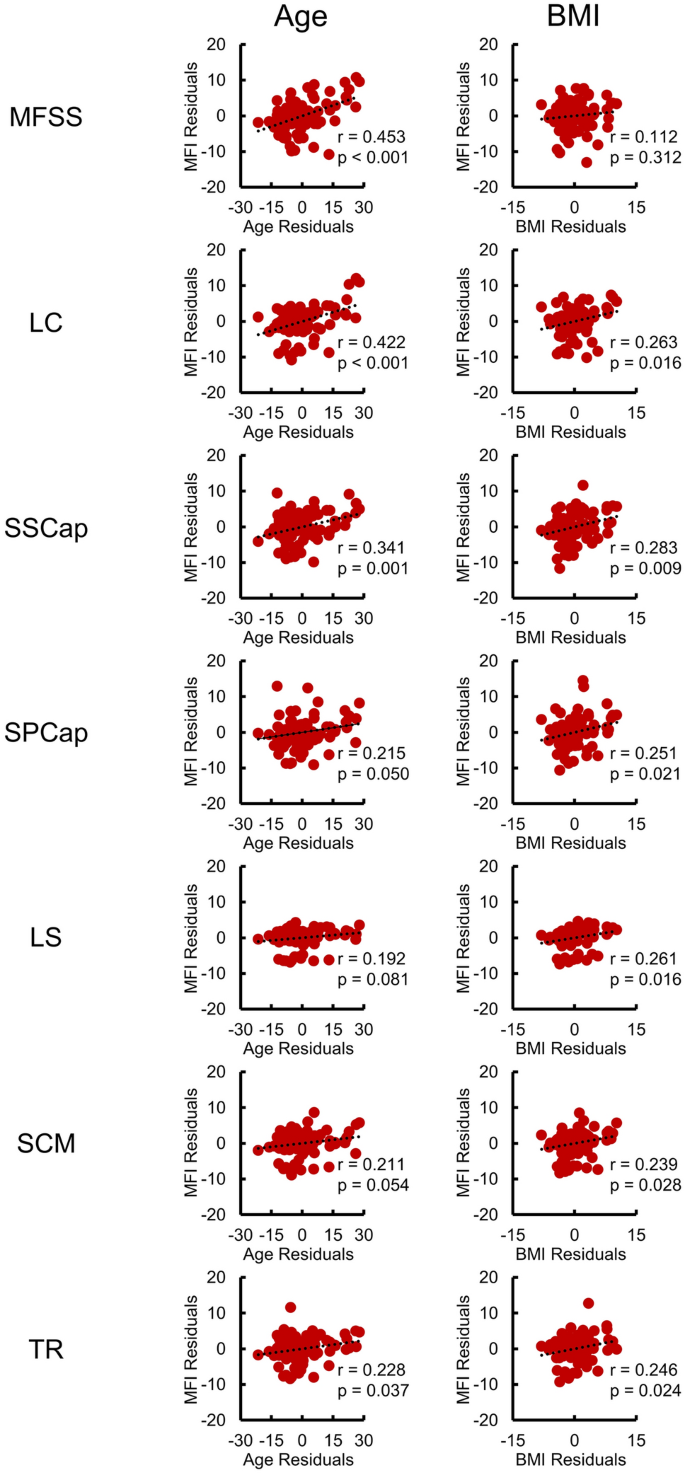 Multi-muscle deep learning segmentation pic