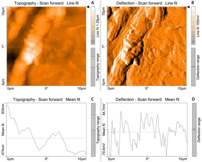 figure 21