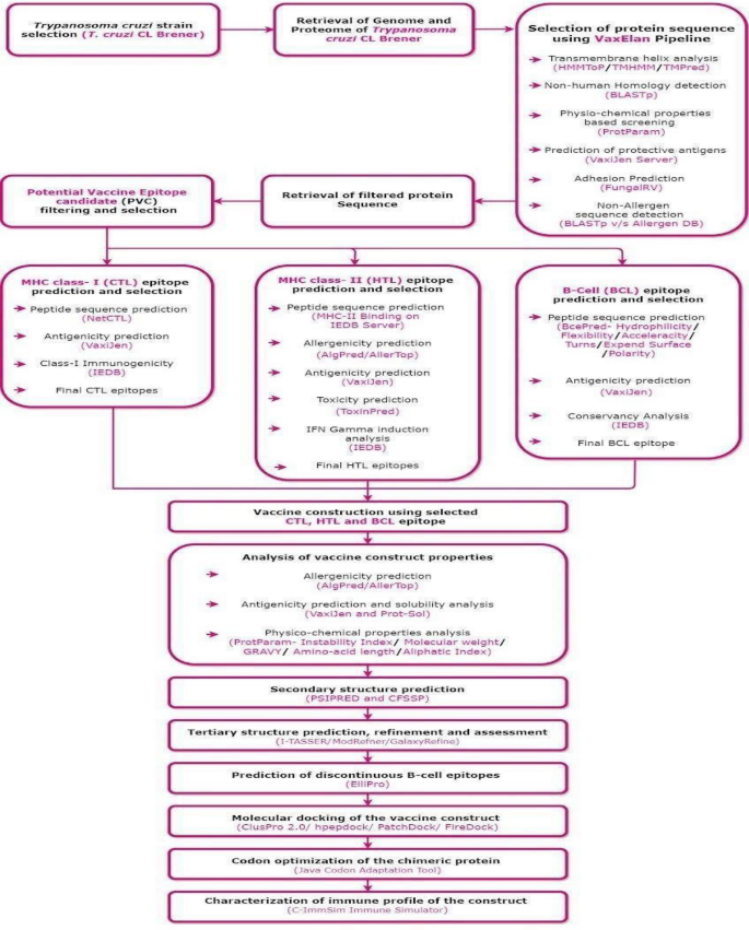 Identification Of Vaccine Targets In Pathogens And Design Of A Vaccine Using Computational Approaches Scientific Reports