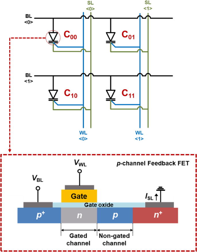 One-transistor static random-access memory cell array comprising  single-gated feedback field-effect transistors | Scientific Reports