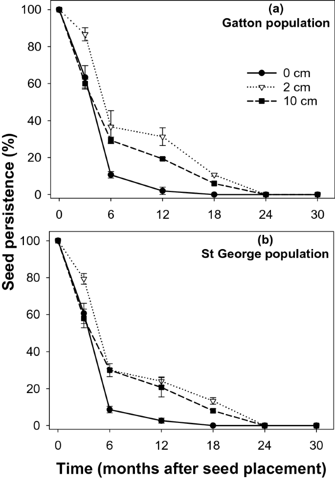 Seedbank Persistence And Emergence Pattern Of Argemone Mexicana Rapistrum Rugosum And Sonchus Oleraceus In The Eastern Grain Region Of Australia Scientific Reports