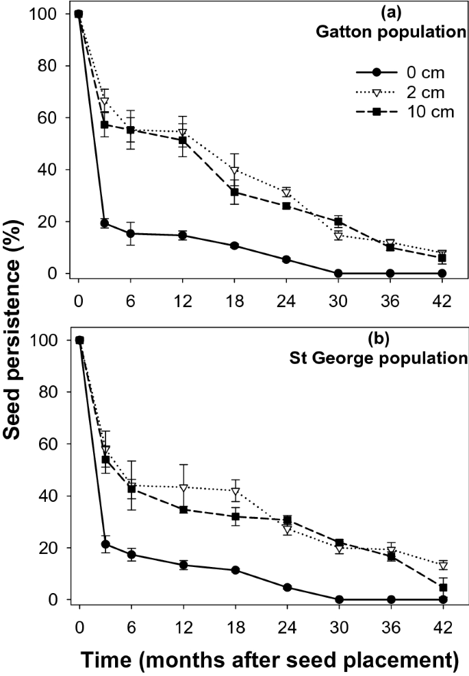 Seedbank Persistence And Emergence Pattern Of Argemone Mexicana Rapistrum Rugosum And Sonchus Oleraceus In The Eastern Grain Region Of Australia Scientific Reports