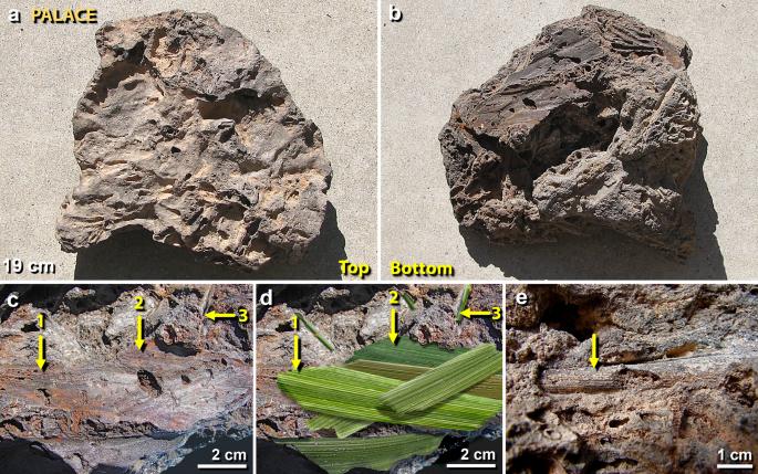 figure14