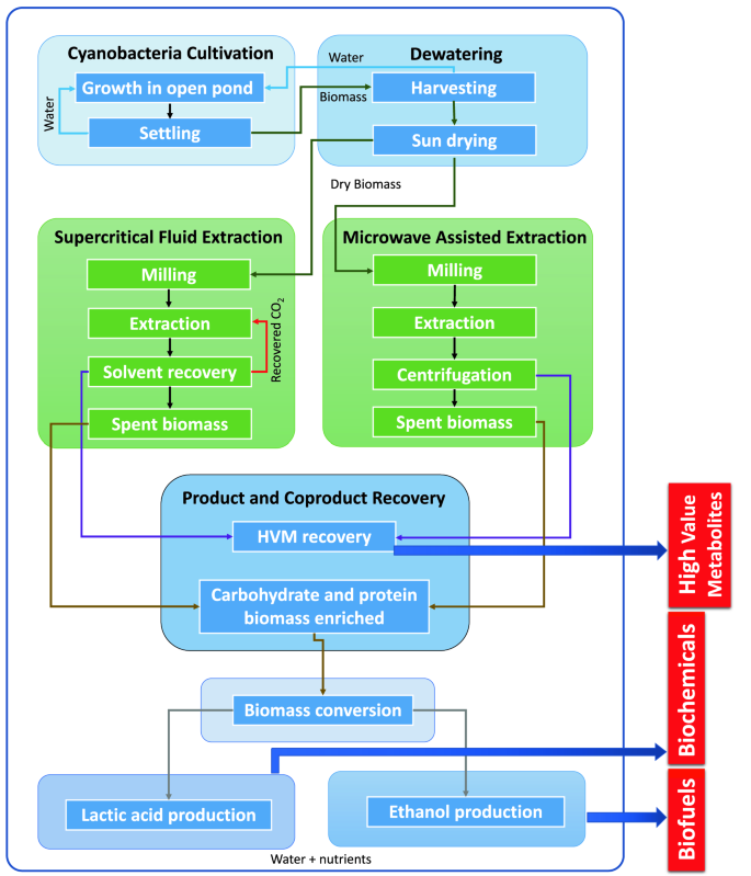 Biochemical biorefinery: A low-cost and non-waste concept for