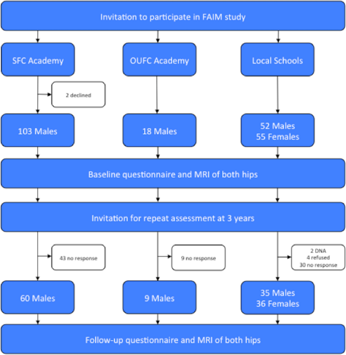 A longitudinal cohort study of adolescent elite footballers and controls investigating the development of cam morphology Scientific Reports