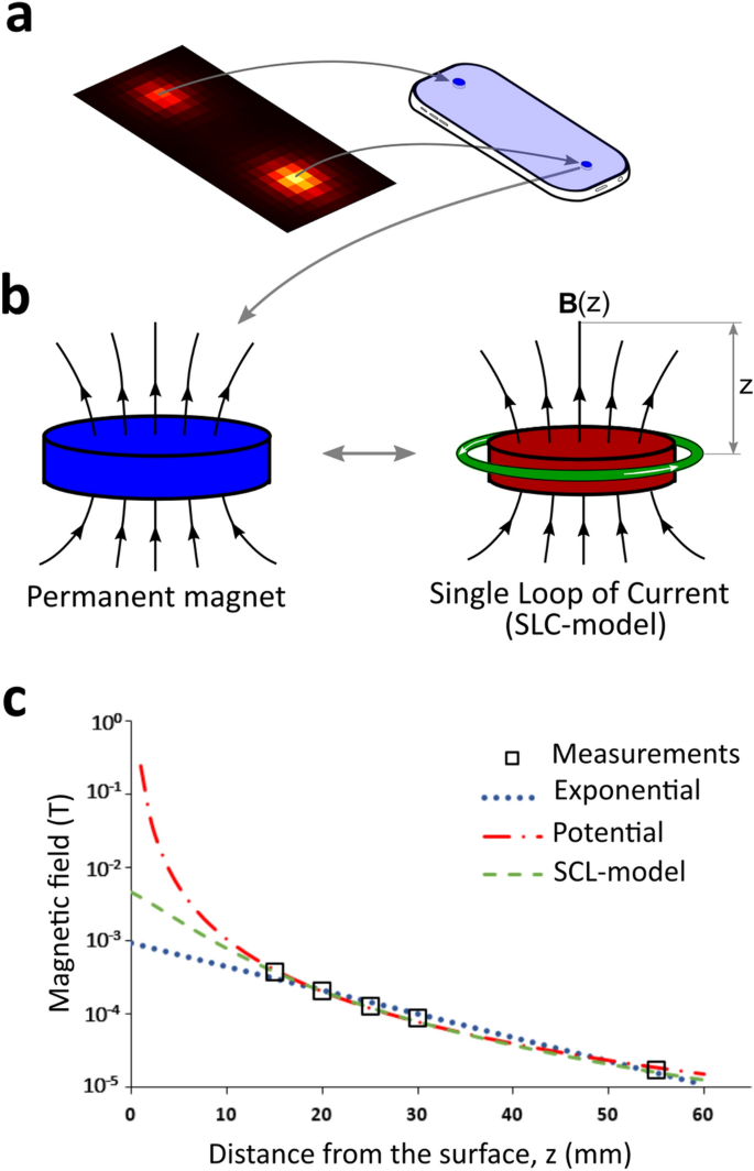 Mapping of static magnetic fields near the surface of mobile phones |  Scientific Reports