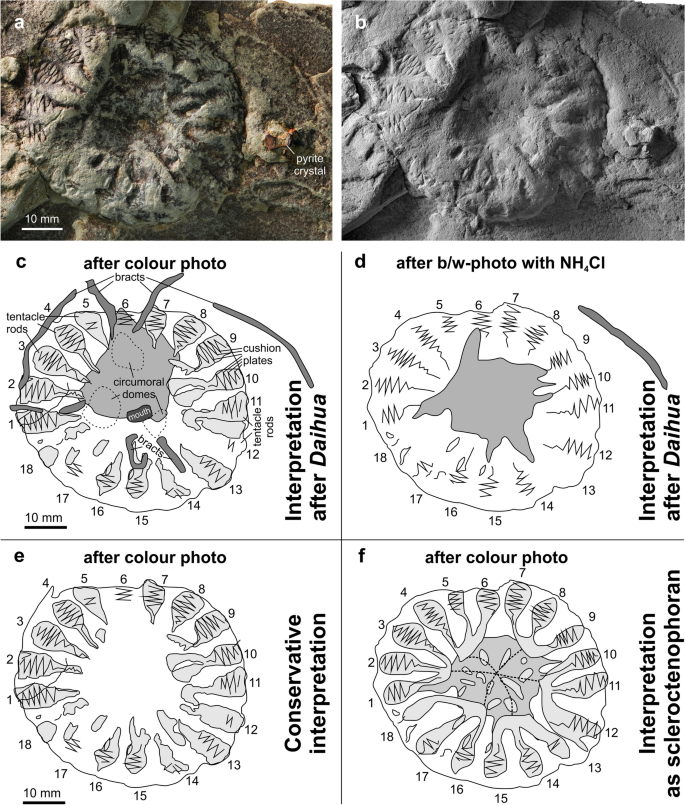 figure2