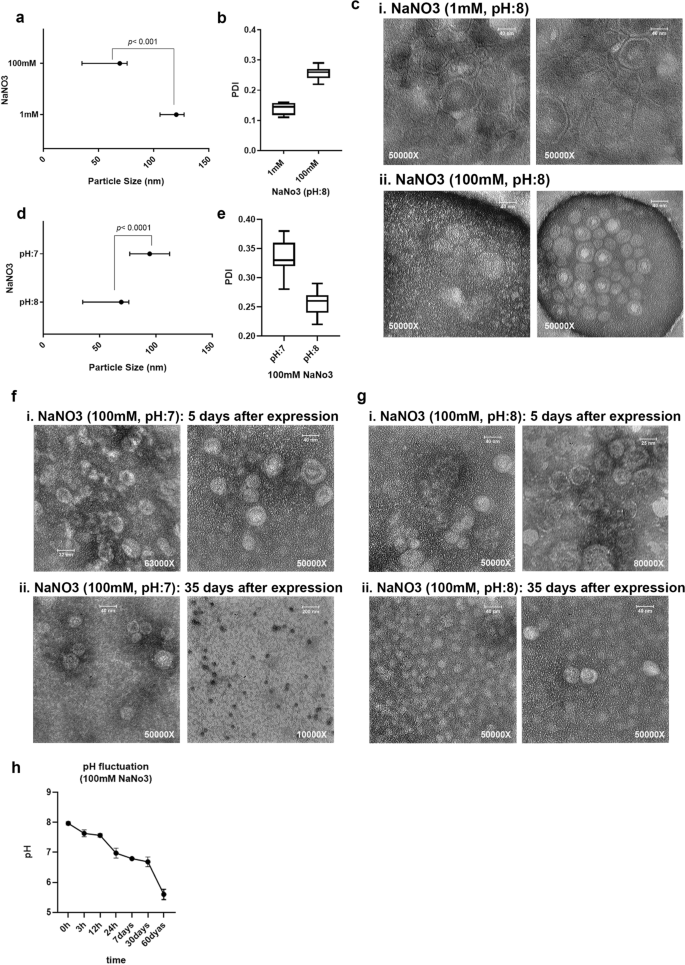 Optimizing The Synthesis And Purification Of Ms2 Virus Like Particles Scientific Reports