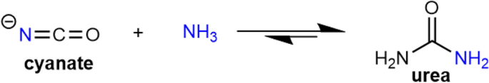 scheme 4