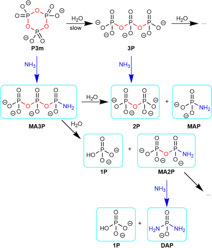 scheme 6