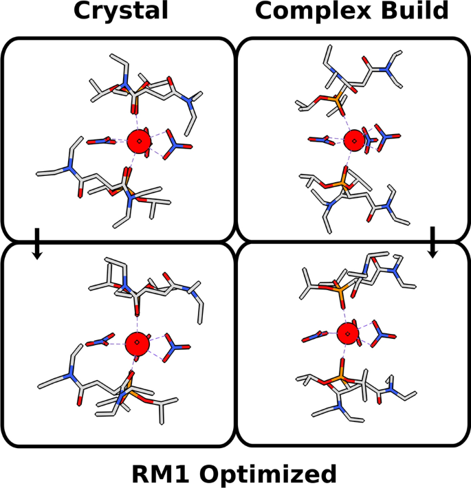 The complex build algorithm to set up starting structures of lanthanoid  complexes with stereochemical control for molecular modeling | Scientific  Reports