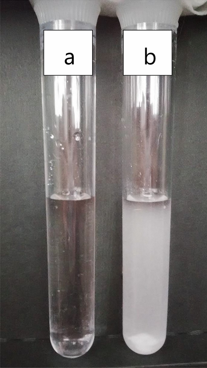 Innovative Method For Co2 Fixation And Storage Scientific Reports