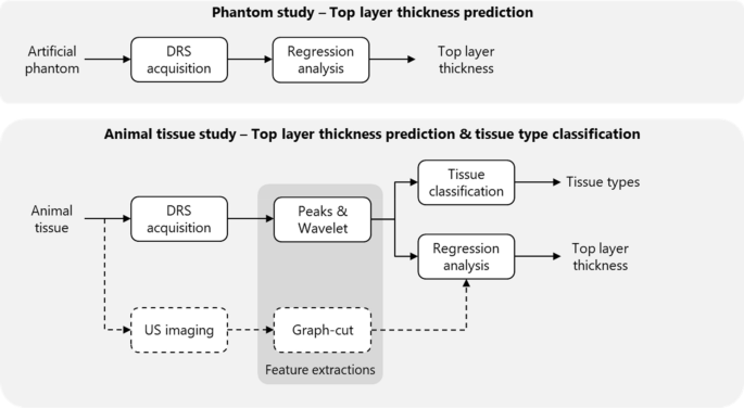 Layer thickness prediction and tissue classification in two-layered tissue  structures using diffuse reflectance spectroscopy | Scientific Reports