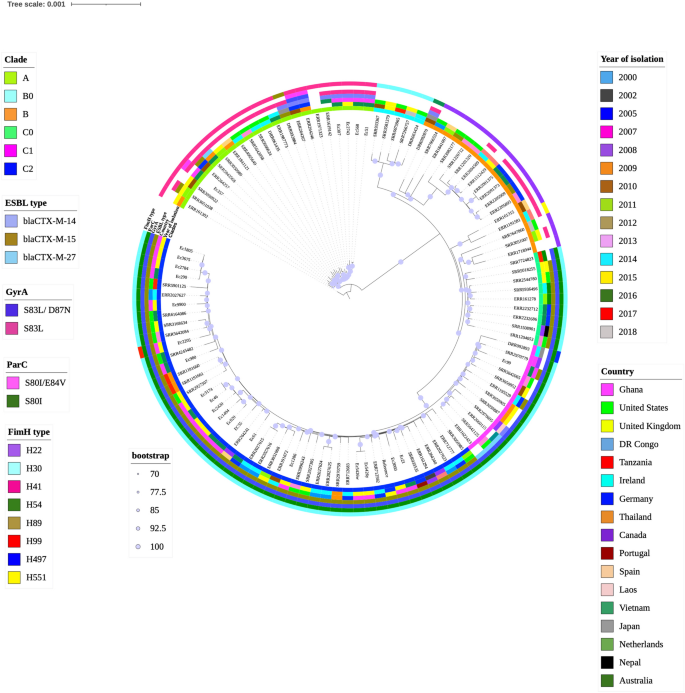 Sequence type diversity and population structure of ESBL-producing