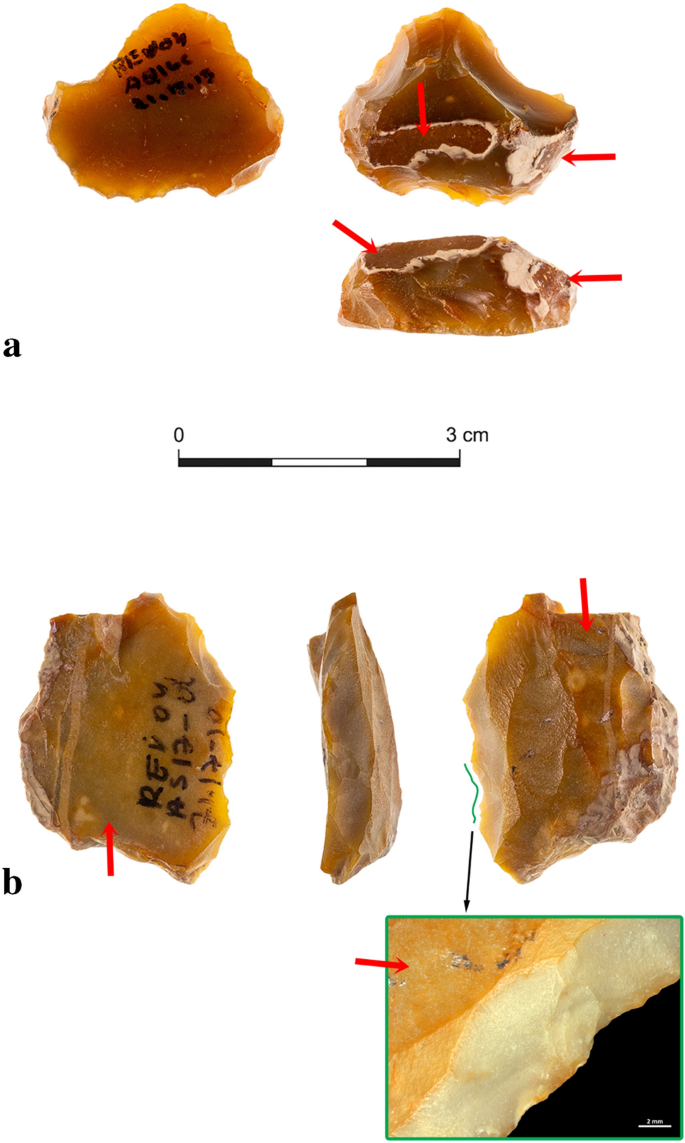 Function, life histories, and biographies of Lower Paleolithic patinated  flint tools from Late Acheulian Revadim, Israel | Scientific Reports