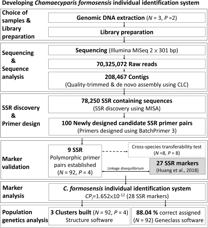 SSR individual identification system construction and population genetics  analysis for Chamaecyparis formosensis | Scientific Reports