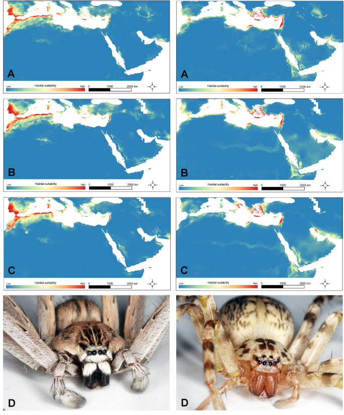 Spider X - Assigning & Reassigning a Spider