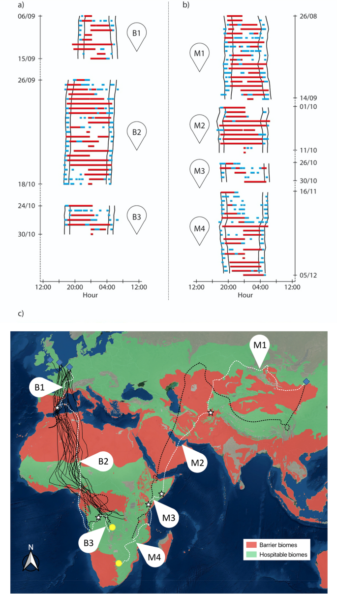 Identifying Rooks  BTO - British Trust for Ornithology