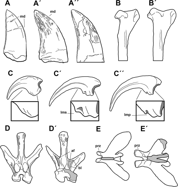 figure 16