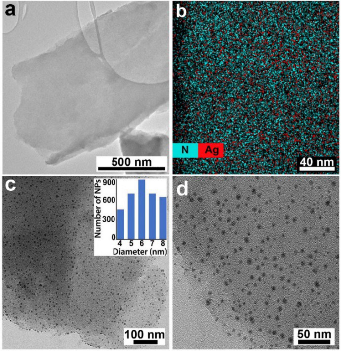 Antibacterial activity and antibiotic-modifying action of