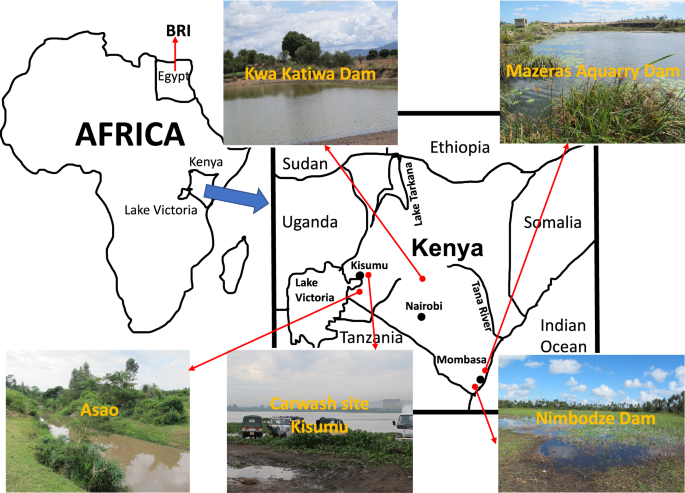 Comparative Mitogenomics Of Freshwater Snails Of The Genus Bulinus Obligatory Vectors Of Schistosoma Haematobium Causative Agent Of Human Urogenital Schistosomiasis Scientific Reports