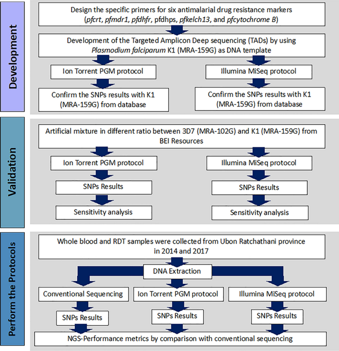 Frontiers  Development of an AmpliSeqTM Panel for Next-Generation  Sequencing of a Set of Genetic Predictors of Persisting Pain