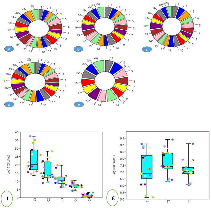 Dynamics Phylogeny And Phyto Stimulating Potential Of Chitinase Synthesizing Bacterial Root Endosymbiosiome Of North Western Himalayan Brassica Rapa L Scientific Reports