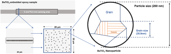 figure 31