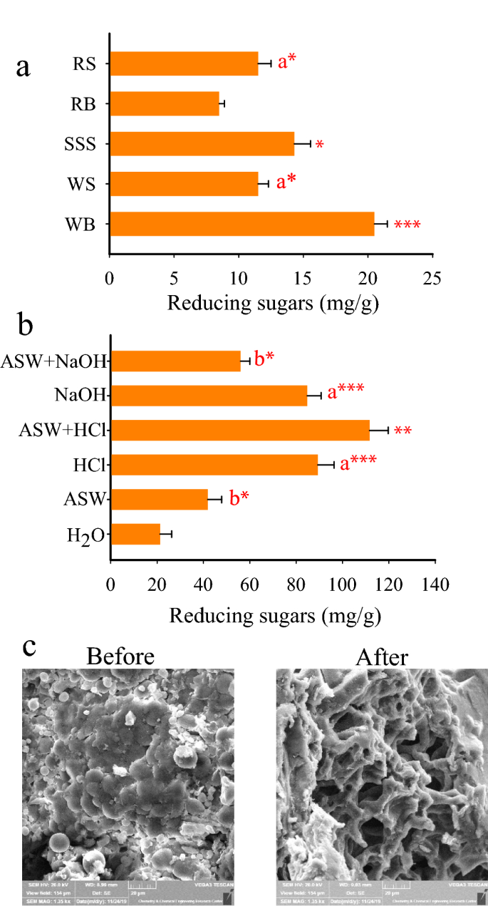 Metagenomic Psychrohalophilic Xylanase From Camel Rumen Investigated For Bioethanol Production From Wheat Bran Using Bacillus Subtilis Ap Scientific Reports
