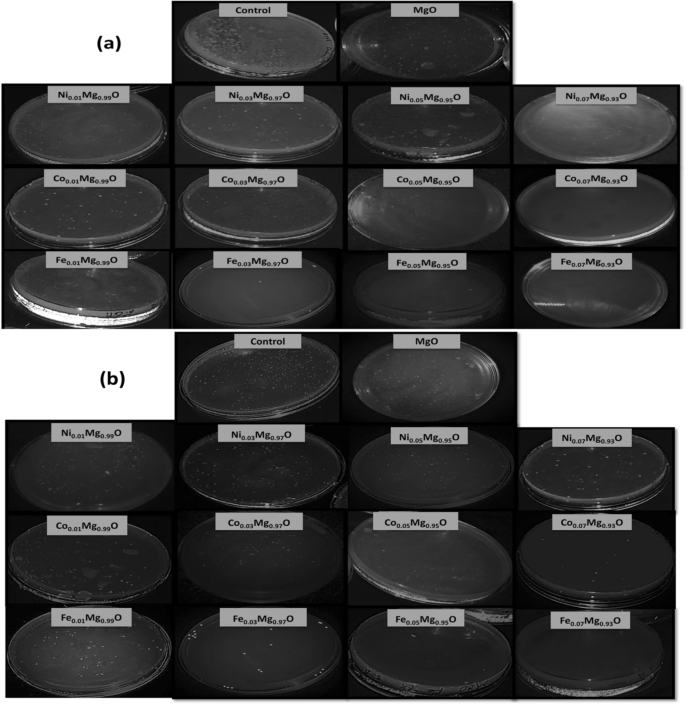 figure 19